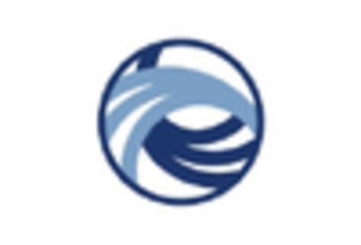 Polyethylene Naphthalate Market key player