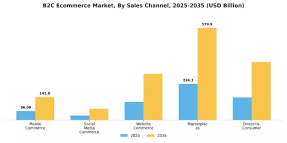 South America B2C E commerce Market Segment Image 2