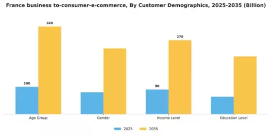 France Business To Consumer E Commerce Market Segment Image 0