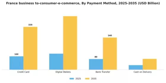 France Business To Consumer E Commerce Market Segment Image 1