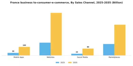 France Business To Consumer E Commerce Market Segment Image 3