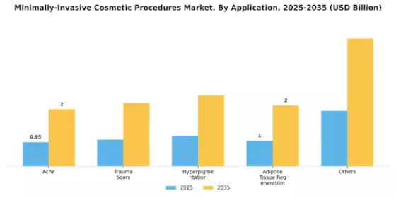 Minimally-Invasive Cosmetic Procedures Market Segment Image 0