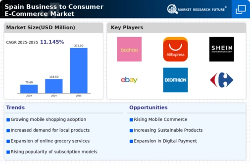 Spain Business To Consumer E Commerce Market Infographic
