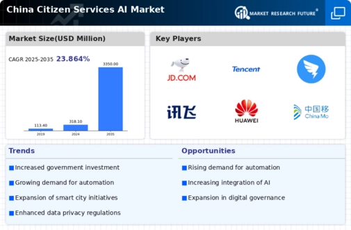 China Citizen Services AI Market Infographic