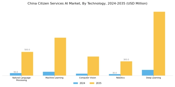 China Citizen Services AI Market Segment Image 0