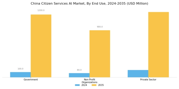 China Citizen Services AI Market Segment Image 3