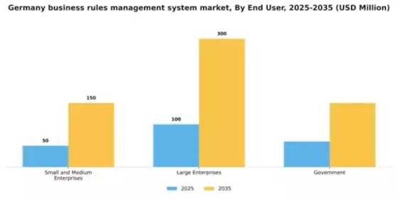 Germany Business Rules Management System Market Segment Image 3