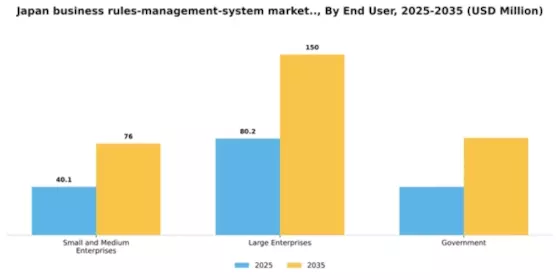 Japan Business Rules Management System Market Segment Image 3