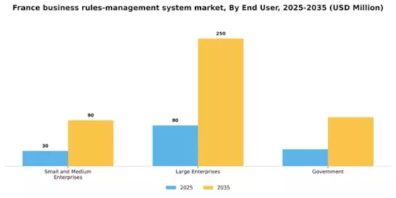 France Business Rules Management System Market Segment Image 3