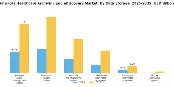 Healthcare Archiving eDiscovery Market Segment Image 0