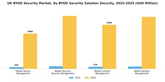 UK BYOD Security Market Segment Image 3