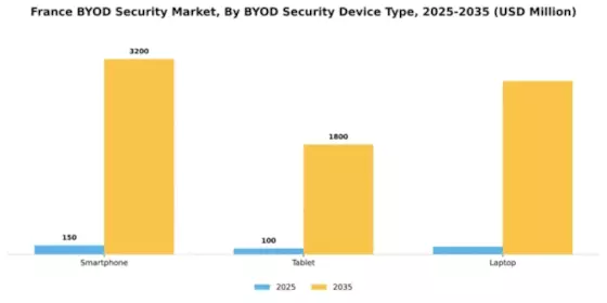France BYOD Security Market Segment Image 0