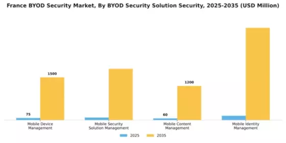 France BYOD Security Market Segment Image 3
