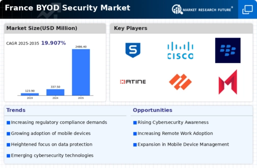 France BYOD Security Market Infographic