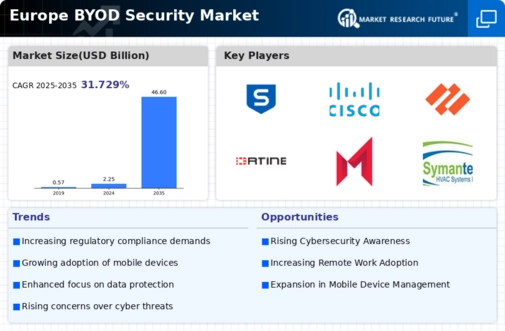 Europe BYOD Security Market Infographic