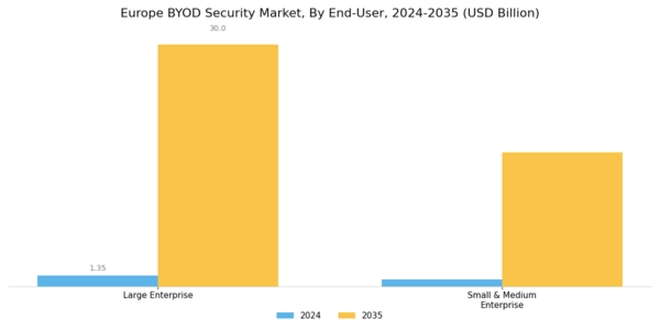 Europe BYOD Security Market Segment Image 3
