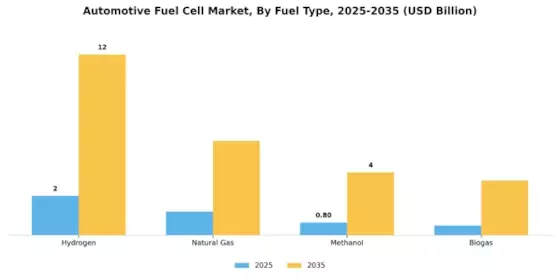 Automotive Fuel Cell Market Segment Image 1