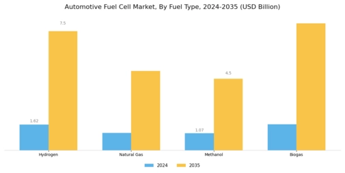 Automotive Fuel Cell Market Segment Image 2