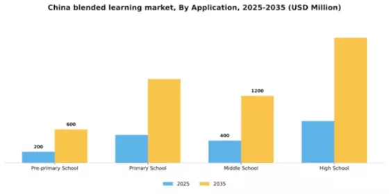 China Blended Learning Market Segment Image 0