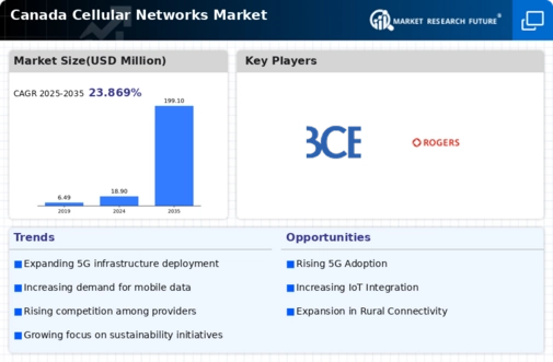 Canada Cellular Networks Market Infographic