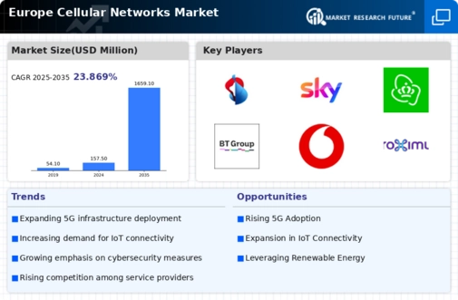 Europe Cellular Networks Market Infographic