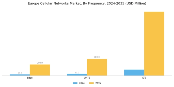 Europe Cellular Networks Market Segment Image 1