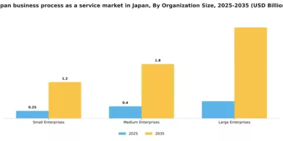 Japan Business Process as a Service Market Segment Image 4