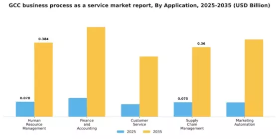 GCC Business Process as a Service Market Segment Image 0