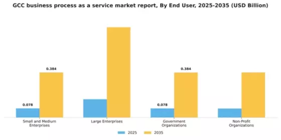 GCC Business Process as a Service Market Segment Image 2