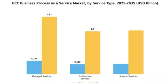 GCC Business Process as a Service Market Segment Image 4