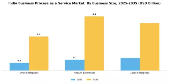 India Business Process as a Service Market Segment Image 0