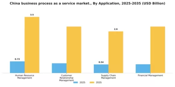 China Business Process as a Service Market Segment Image 0
