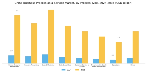 China Business Process as a Service Market Segment Image 0
