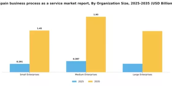 Spain Business Process as a Service Market Segment Image 4