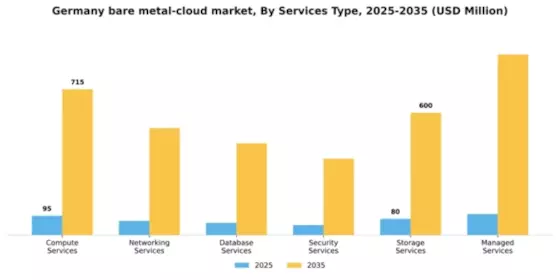 Germany Bare Metal Cloud Market Segment Image 1