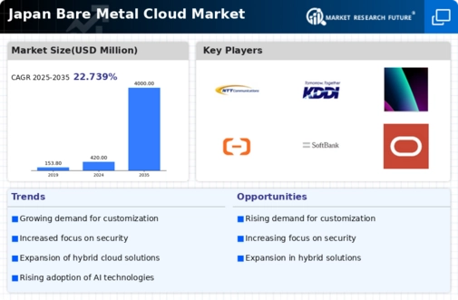 Japan Bare Metal Cloud Market Infographic