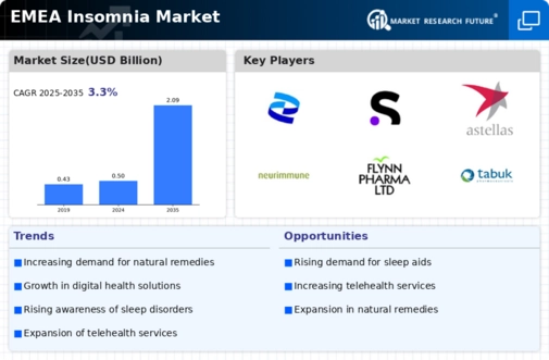 Europe Insomnia Market Infographic