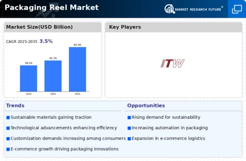 Packaging Reel Market  Infographic