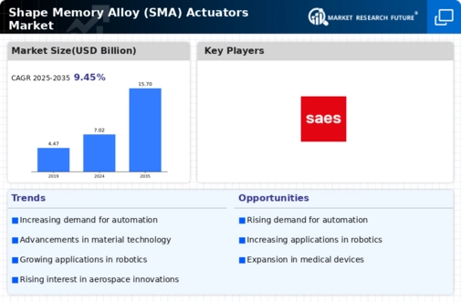 Shape Memory Alloy Actuators Market Infographic