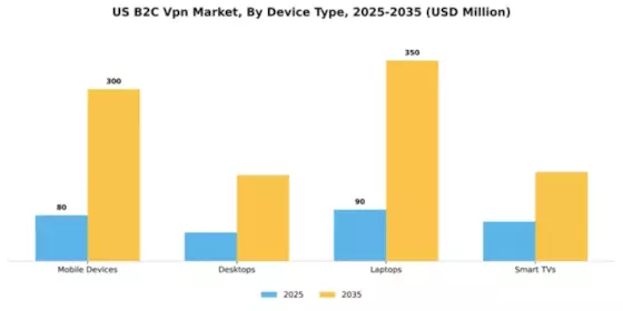US B2C VPN Market Segment Image 1
