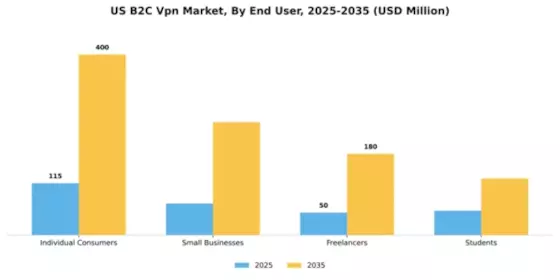 US B2C VPN Market Segment Image 2