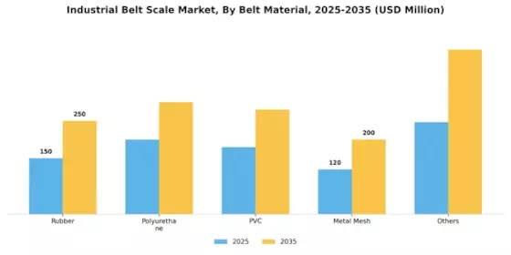 Industrial Belt Scale Market  Segment Image 2