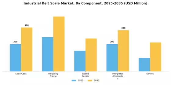 Industrial Belt Scale Market  Segment Image 3
