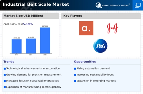 Industrial Belt Scale Market  Infographic