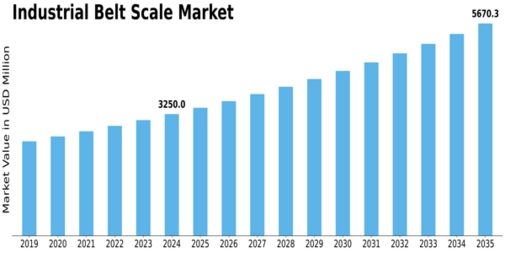 Industrial Belt Scale Market  Size