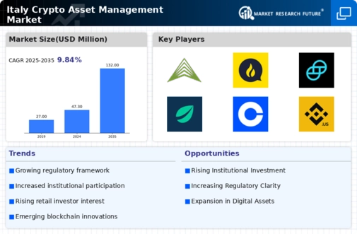 Italy Crypto Asset Management Market Infographic