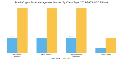 Brazil Crypto Asset Management Market Research Report - Global Forecast to 2035 Segment Image 1