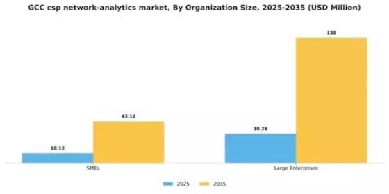 GCC Csp Network Analytics Market Segment Image 3