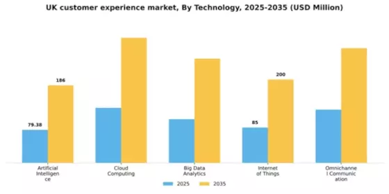 UK Customer Experience Management Market Segment Image 2