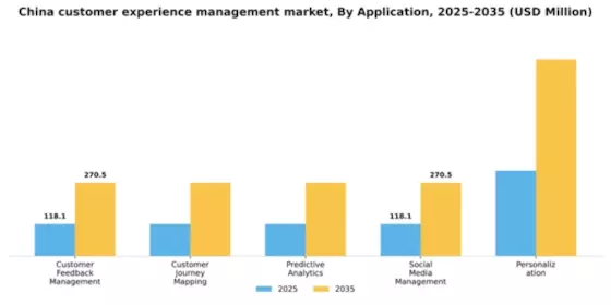 China Customer Experience Management Market Segment Image 0